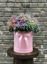 Цветочная композиция из Гипсофила и Розы в шляпной коробке #REPLACE_PRED# Покровское