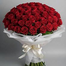 Букет 101 Красная роза Блэк Мэджик в Покровское