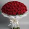 Букет 101 Красная роза Блэк Мэджик в Покровское