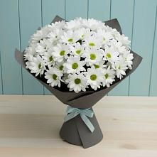 Букет цветов из:  Хризантемы #REPLACE_PRED# Покровское