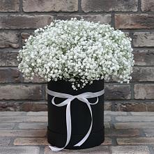 Цветочная композиция из Гипсофила в шляпной коробке в Покровское