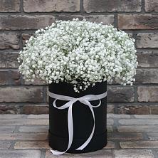 Цветочная композиция из Гипсофила в шляпной коробке в Покровское