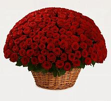 Премиум букет из: Розы в Покровское