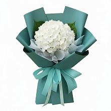 Букет цветов из:  Гортензия в Покровское